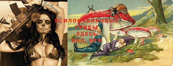 мет Елизово