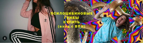 мет Елизово